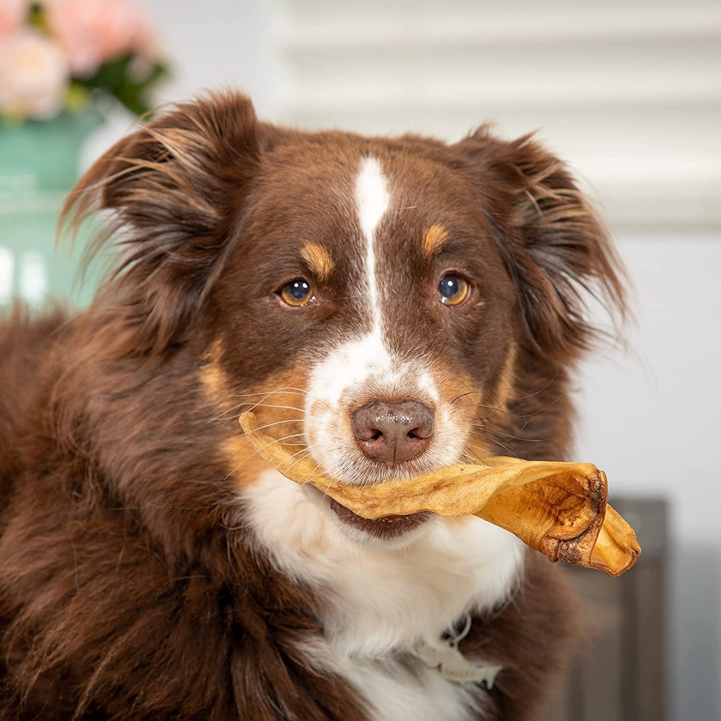 Water Buffalo Prime Select Dog Chews, All Natural Dog Bones & Dog Treats 7 Pack (Long Lasting Dog Chews, Dog Bone Assortment, Treats & Dog Bone) Grain Free Dog Chews Bones, Dog Snacks